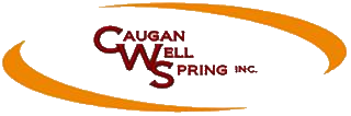 Caugan Wellspring Inc.